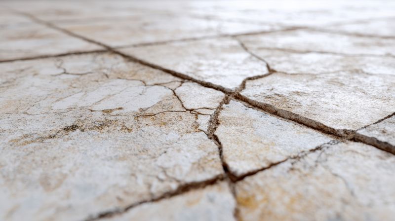 Tile Grout Crack Repair detail